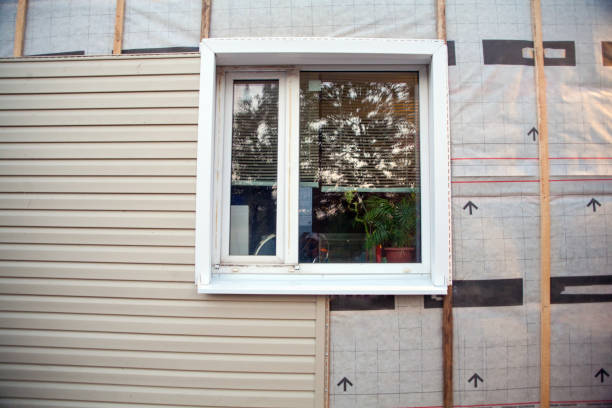 Best Custom Trim and Detailing for Siding  in Parole, MD