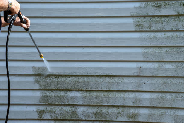 Best Storm Damage Siding Repair  in Parole, MD