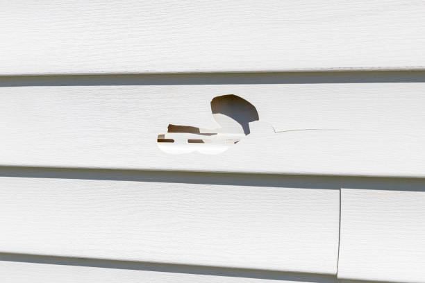 Best Wood Siding Installation  in Parole, MD