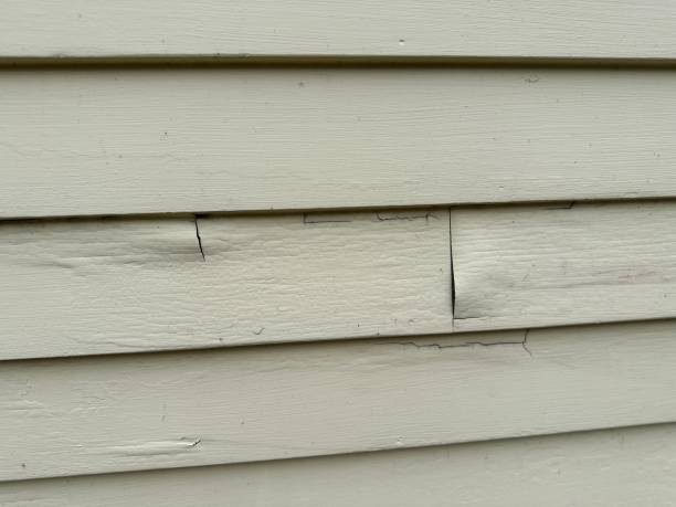 Best Historical Building Siding Restoration  in Parole, MD